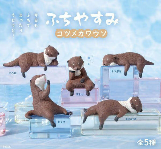 Playful Hanging Small Clawed Otters Blind Box (new)