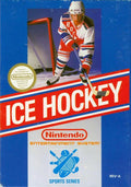 Ice Hockey (Loose) (used)