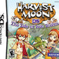 Harvest Moon DS Tale of Two Towns (Complete) (used)