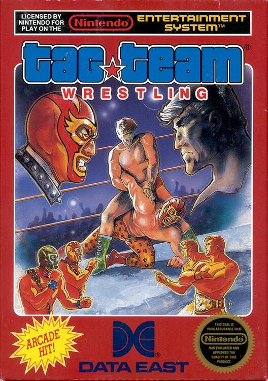 Tag Team Wrestling (Loose) (used)