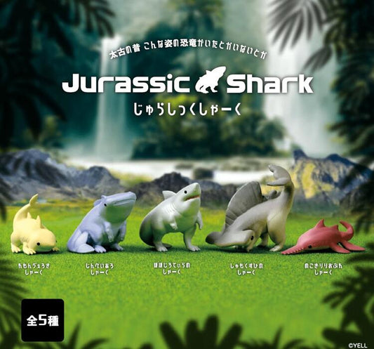 Jurassic Shark Blind Box (new)